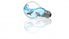 Water Bulb picture